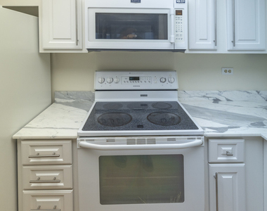 155 N Harbor Drive - Photo Thumbnail 14