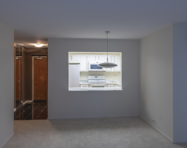 155 N Harbor Drive - Photo Thumbnail 2