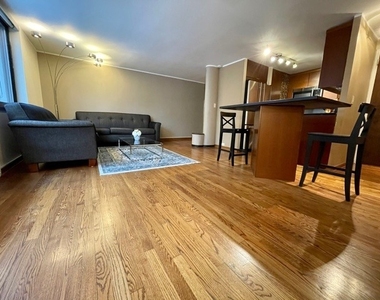 1221 N Dearborn Street - Photo Thumbnail 6