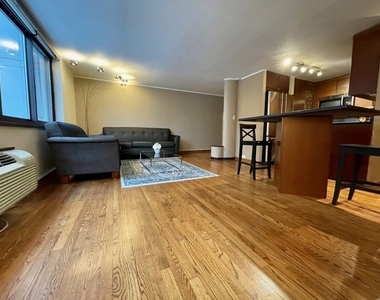 1221 N Dearborn Street - Photo Thumbnail 5