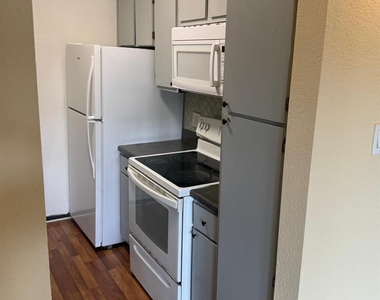 3055 Walnut Bend Lane - Photo Thumbnail 15