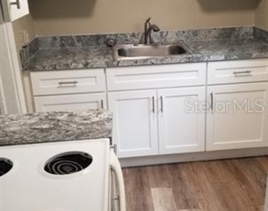 317 E Tarpon Avenue - Photo Thumbnail 9