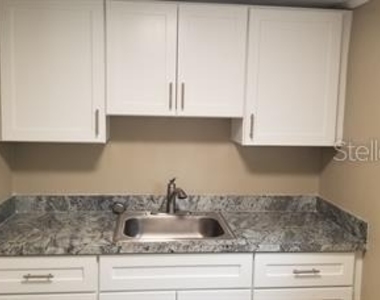 317 E Tarpon Avenue - Photo Thumbnail 8