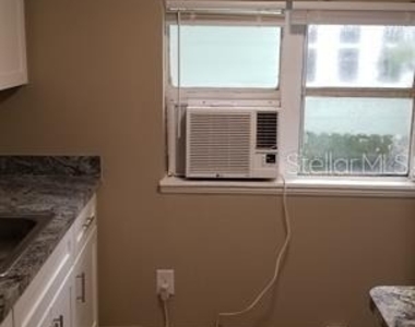 317 E Tarpon Avenue - Photo Thumbnail 12