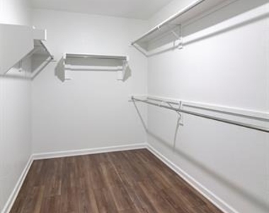 4718 Buttonbush Dr - Photo Thumbnail 16