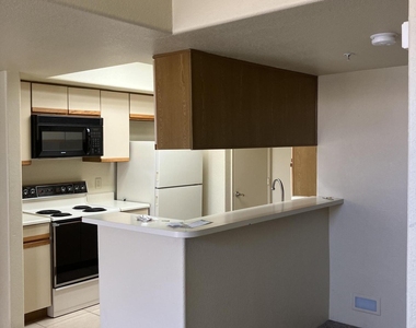 1333 E Morten Avenue - Photo Thumbnail 3