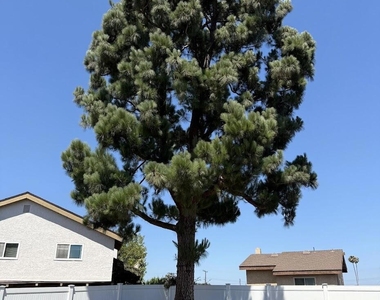636 Malaga Court - Photo Thumbnail 6