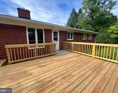 12405 Shafer Lane - Photo Thumbnail 45