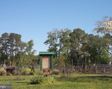 11295 Sitting Bull Circle - Photo Thumbnail 38