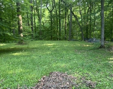 1007 Lee Jackson Drive - Photo Thumbnail 24