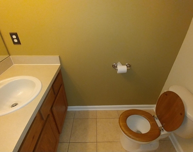 408 Southern Branch Lane - Photo Thumbnail 5