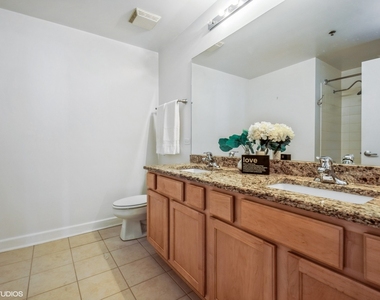 1305 S Michigan Avenue - Photo Thumbnail 11