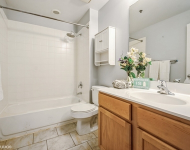 1305 S Michigan Avenue - Photo Thumbnail 13