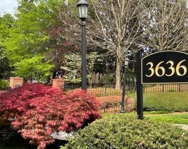 3636 Habersham Road Nw - Photo Thumbnail 21