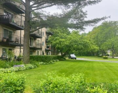 2515 E Olive Street - Photo Thumbnail 22