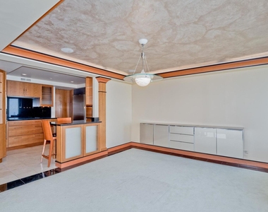 175 E Delaware Place - Photo Thumbnail 8