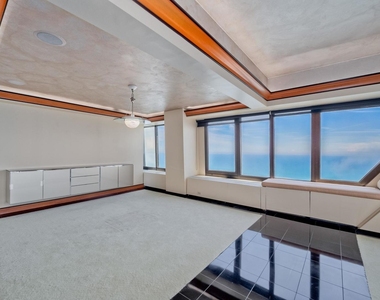 175 E Delaware Place - Photo Thumbnail 11
