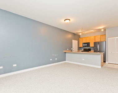 1515 S Halsted Street - Photo Thumbnail 3