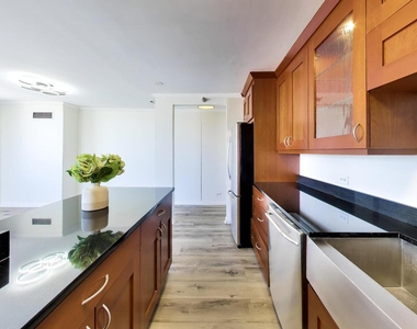 440 N Wabash Avenue - Photo Thumbnail 12