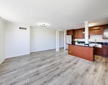 440 N Wabash Avenue - Photo Thumbnail 5