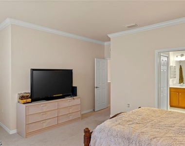 10243 Via Colomba Circle - Photo Thumbnail 19