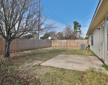 13127 Bach Elm Street - Photo Thumbnail 23
