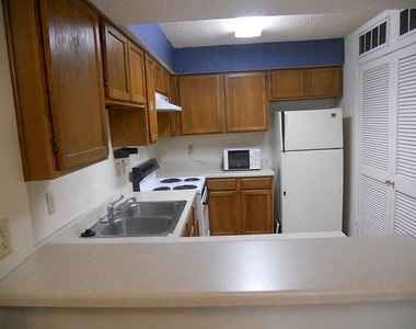 10555 Turtlewood Court - Photo Thumbnail 2