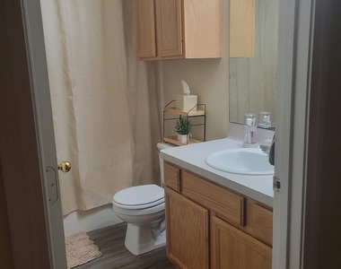 937 Crepe Myrtle Street - Photo Thumbnail 9