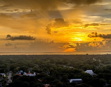 3301 Bayshore Boulevard - Photo Thumbnail 8