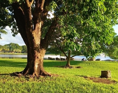 15300 Sw 106th Terrace - Photo Thumbnail 13