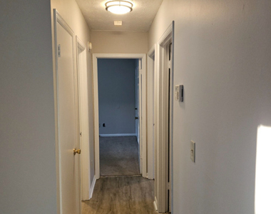 8147 Flamingo Drive - Photo Thumbnail 14