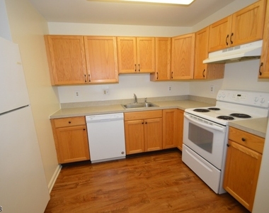 1 Jenny Lind St 16 - Photo Thumbnail 11