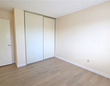29677 Gifhorn Court - Photo Thumbnail 18