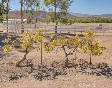 35502 Voss Road - Photo Thumbnail 42
