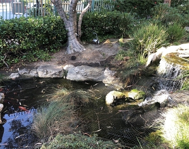552 N Bellflower Boulevard - Photo Thumbnail 38