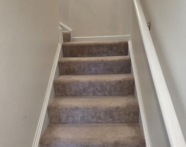 102 Spring Place - Photo Thumbnail 10