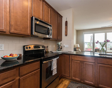 35 Winkler Way - Photo Thumbnail 6