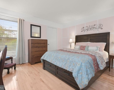 4 Dudley Court - Photo Thumbnail 25