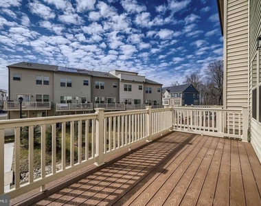 2911 Stagg Lane - Photo Thumbnail 32