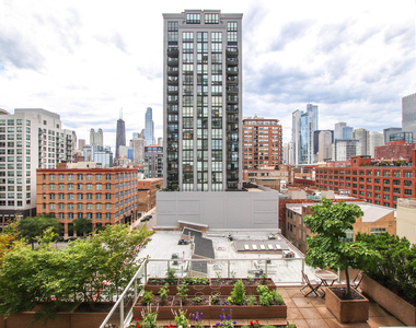 653 N Kingsbury Street - Photo Thumbnail 8