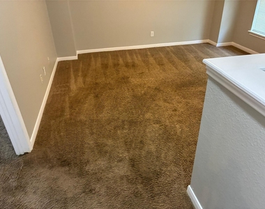 3006 Fort Stockton Drive - Photo Thumbnail 17