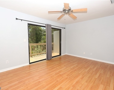 26510 Southern Pines Drive - Photo Thumbnail 29