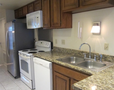 512 W Polk Street - Photo Thumbnail 17