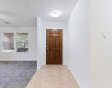 16119 Peach Bluff Lane - Photo Thumbnail 19