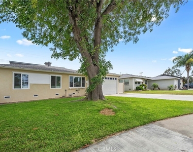 232 Olive - Photo Thumbnail 1