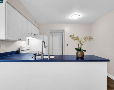 1812 Cole Ave - Photo Thumbnail 14