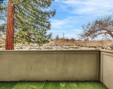 1812 Cole Ave - Photo Thumbnail 35