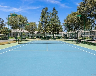 14996 Avenida Venusto - Photo Thumbnail 32
