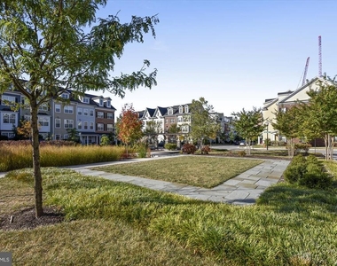 67 Linden Place - Photo Thumbnail 31