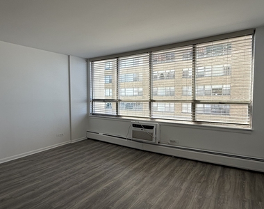 6171 N Sheridan Road - Photo Thumbnail 2
